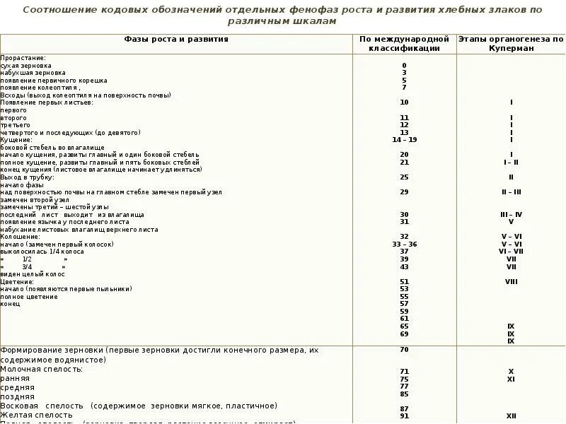 Использую информационные ресурсы подготовьте сообщение. Использую информационные ресурсы подготовьте сообщение