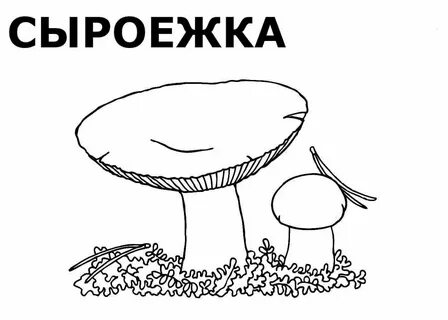 Нарисовать гриб из красной книги
