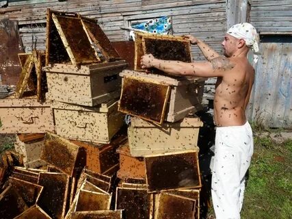 Сельские технологии товары