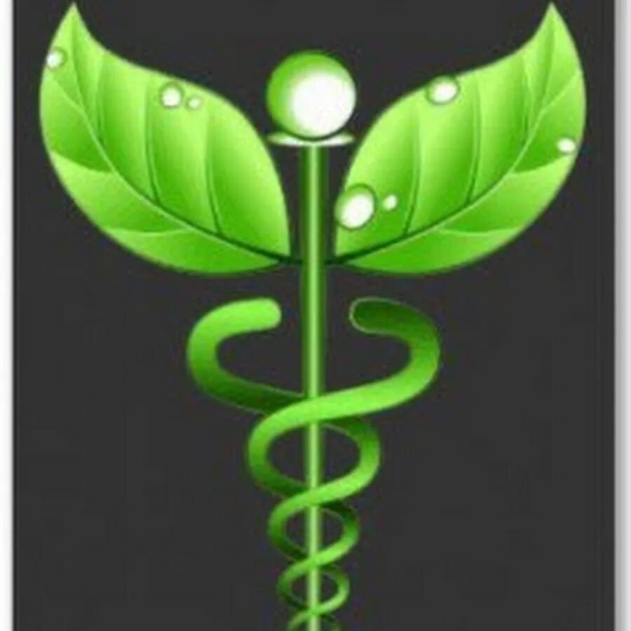 Знак здоровья. Символ здоровья. Символ Восточной медицины. Здоровье знак символ. Знак здоровье на прозрачном фоне.