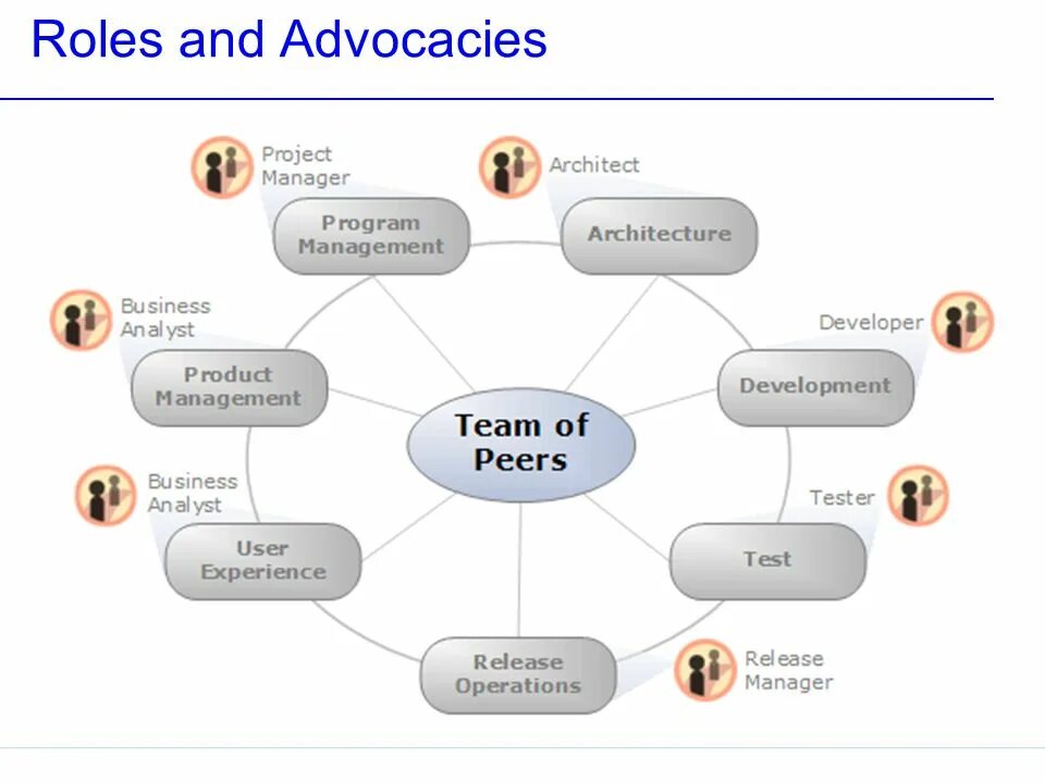 Peers project. Ролевые кластеры. Модель MSF. Модель команды. Модель Microsoft solutions Framework.