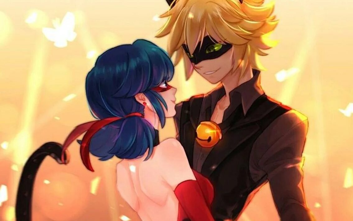 включи супер кот любит