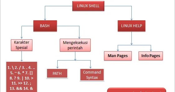 Linux Shell. Структура Linux. Shell Linux структура. Fish оболочка Linux.