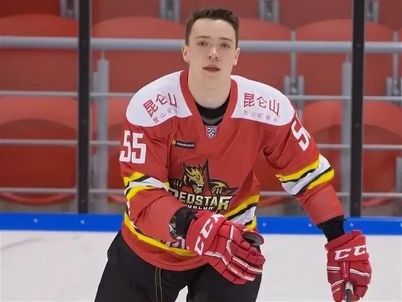 воробей хоккеист