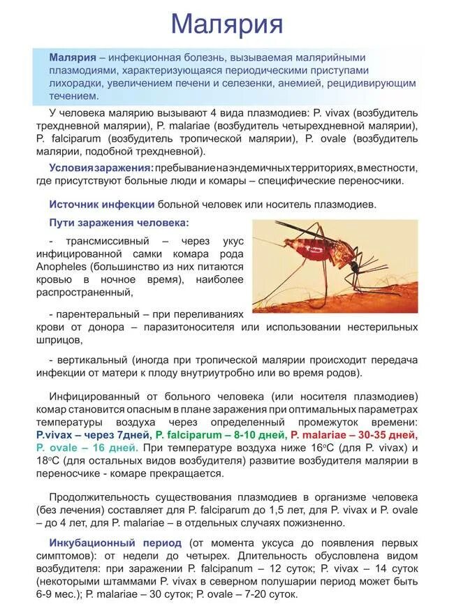 Как передается малярия. Малярия кратко о болезни. малярия профилактика заболевания. инфекционные заболевания малярия.