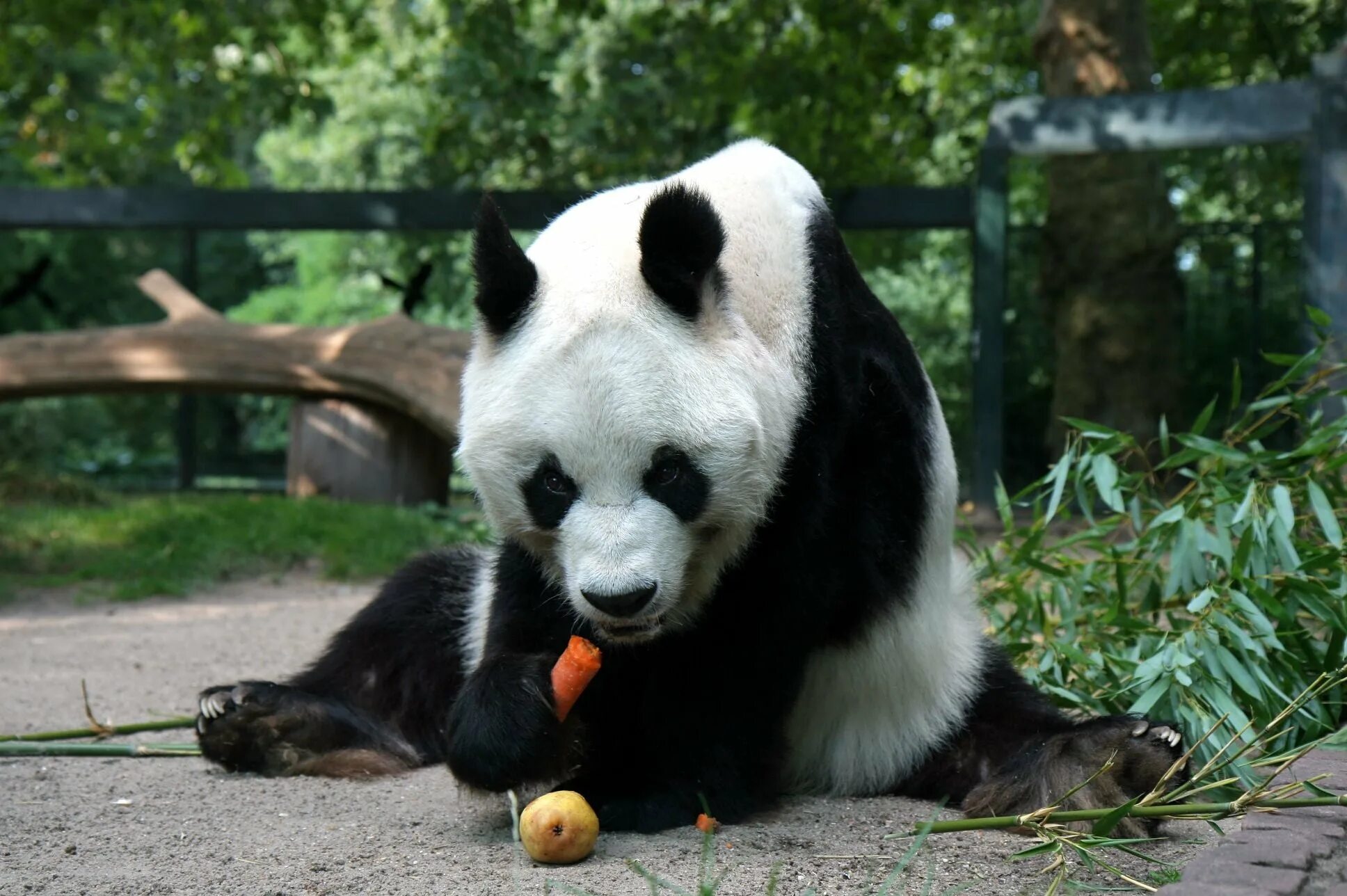 Аналог pandas