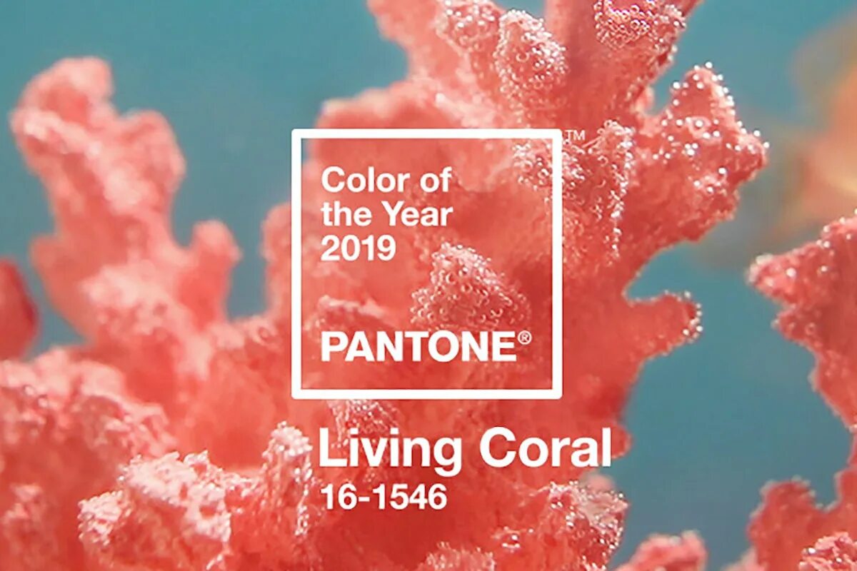 Coral цвет. Цвет года пантон 2019. Pantone цвет года. Живой коралл Pantone. Пантон Living Coral.