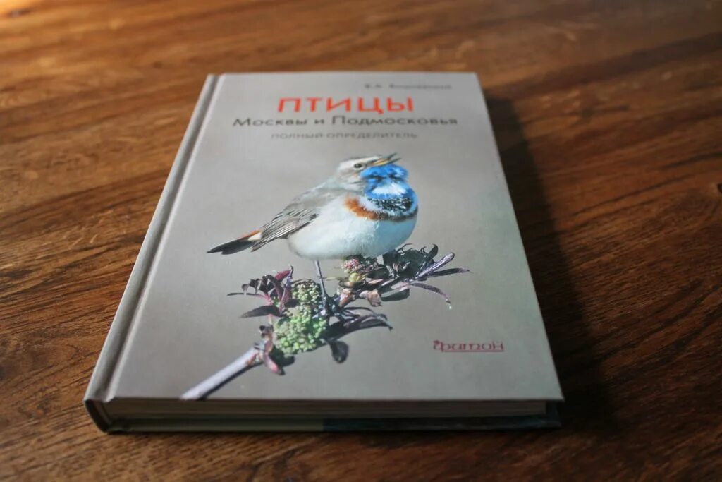 Птицы москвы книга