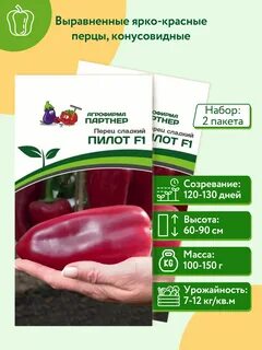 Семена пилот