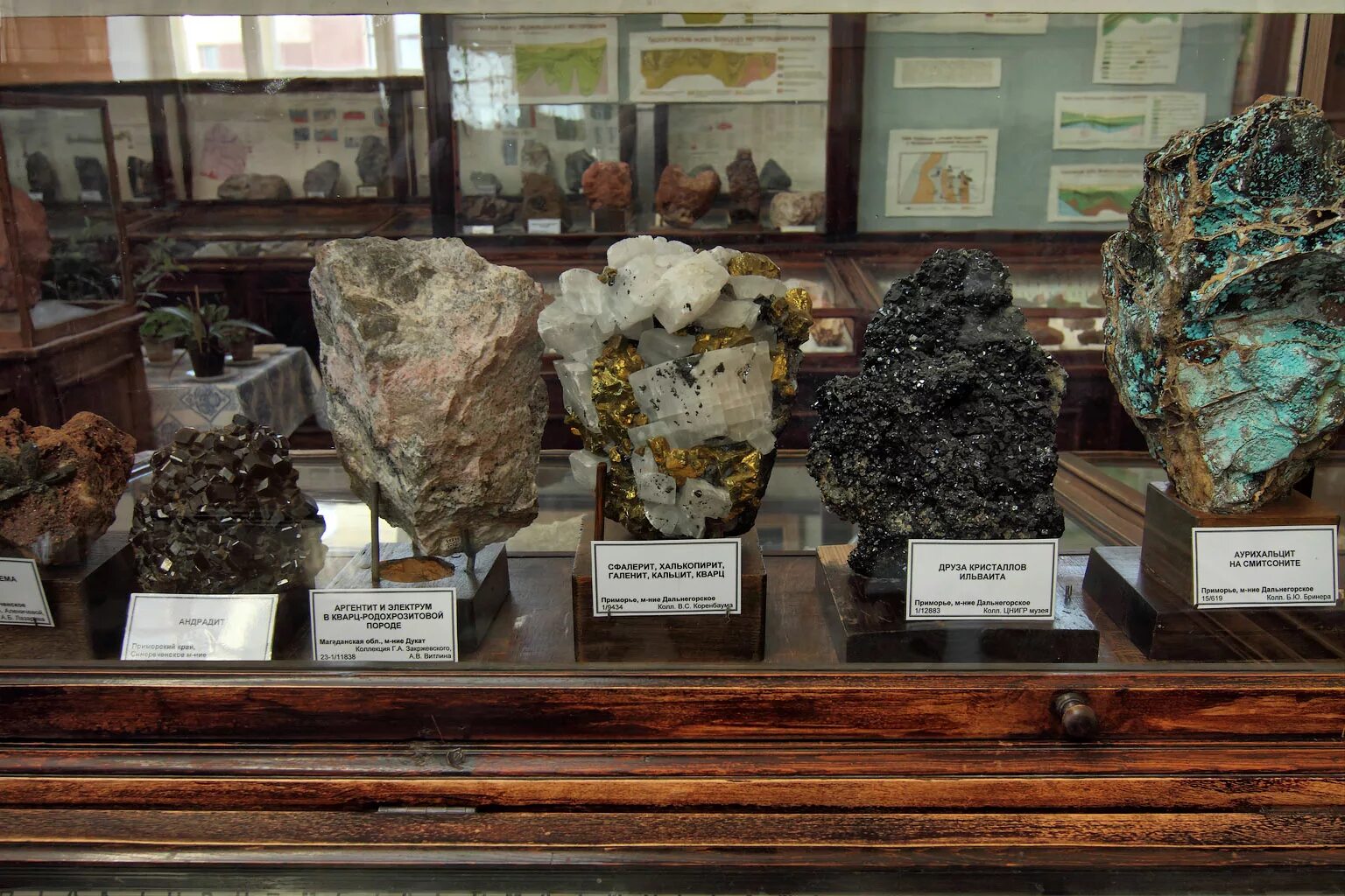 Изображение головы в виде экспоната музейного. Ягомик всегеи. Старая ладога экспонаты экспонаты музея. Минералогический зал центрального музея тавриды. Геологический музей в санкт-петербурге.