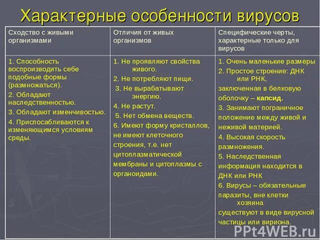 Сходства и различия бактерий и вирусов. Характерные особенности вирусов. Сходство бактерий и вирусов. Вирусы и бактерии отличия и сходства.