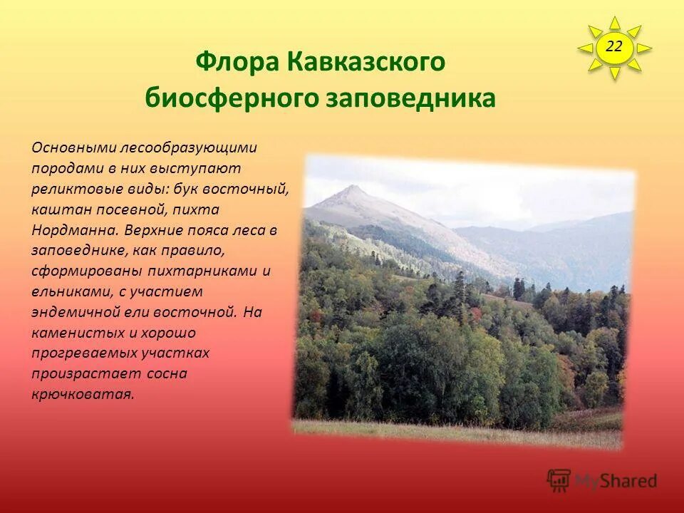 Заповедники и национальные парки. Содержание заповедников. Заповедники кировской области. Название заповедников. Оопт россии.