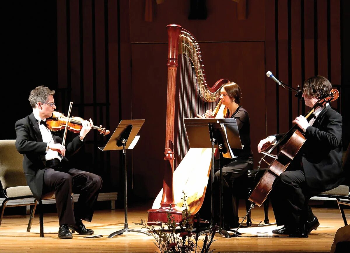 Выступления классика. Музыкальное искусство. Выступления классика. Выступления классика. Музыканты оркестра.