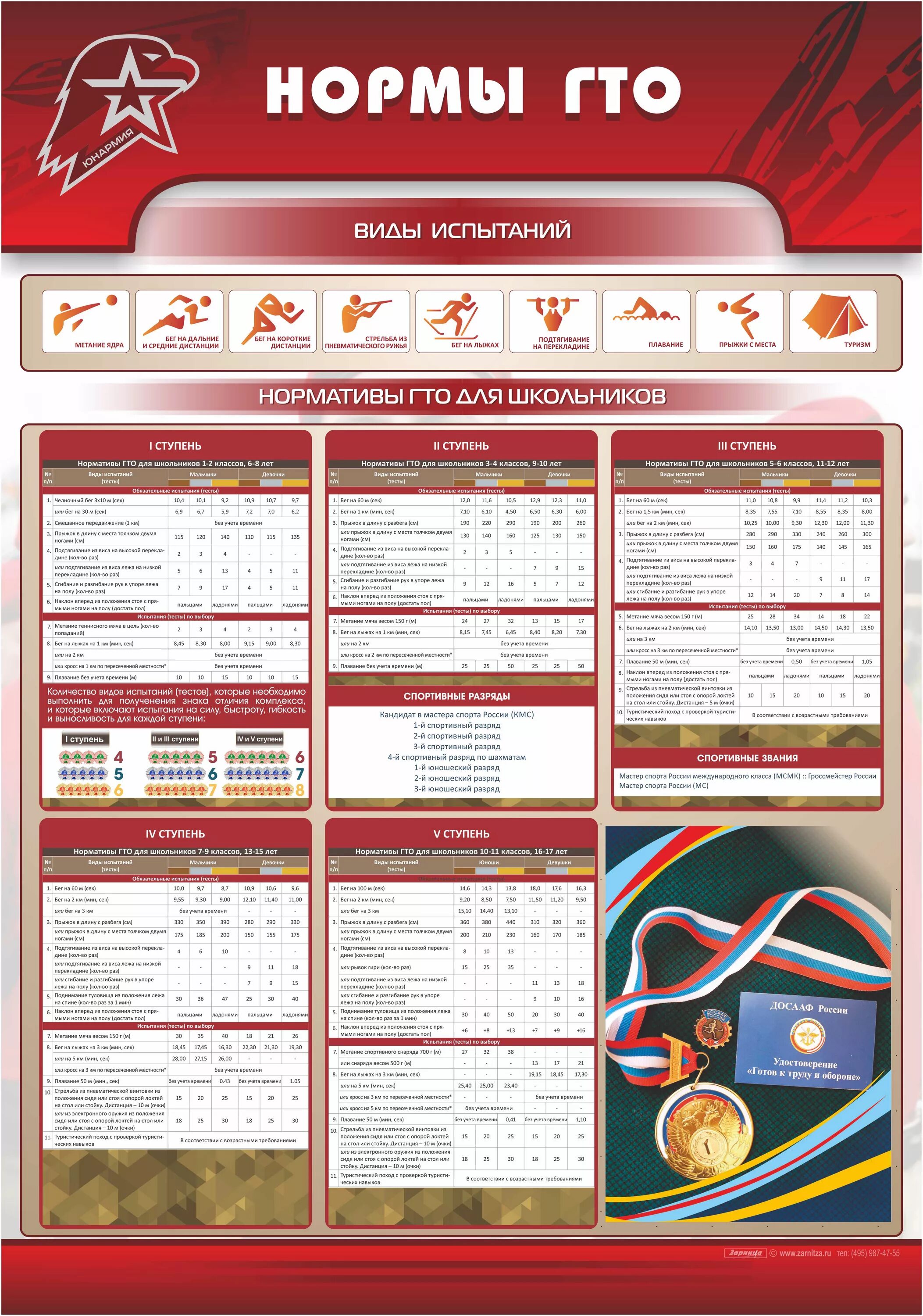 Нормы ГТО. Стенд по ГТО. Спортивный стенд в школе. Нормативы гто в школе
