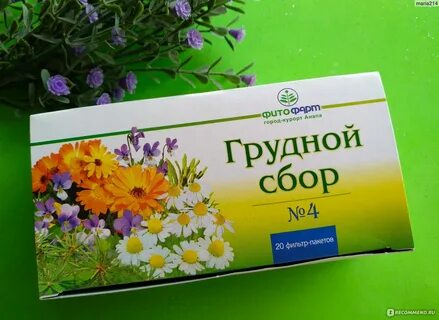 Грудные травы отзывы