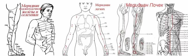 Расположение точки нэй-гуань мс-6. Меридиан перикарда биологически активные точки. Точка мц. Меридиан толстого кишечника точки акупунктуры. Точка мц.