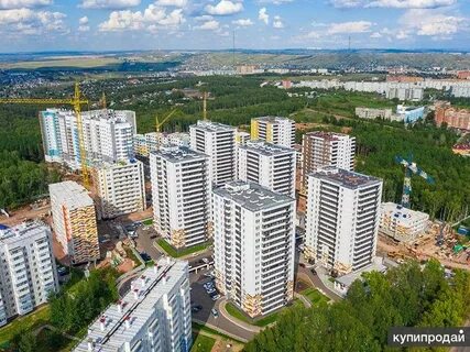 Квартиры лесной массив