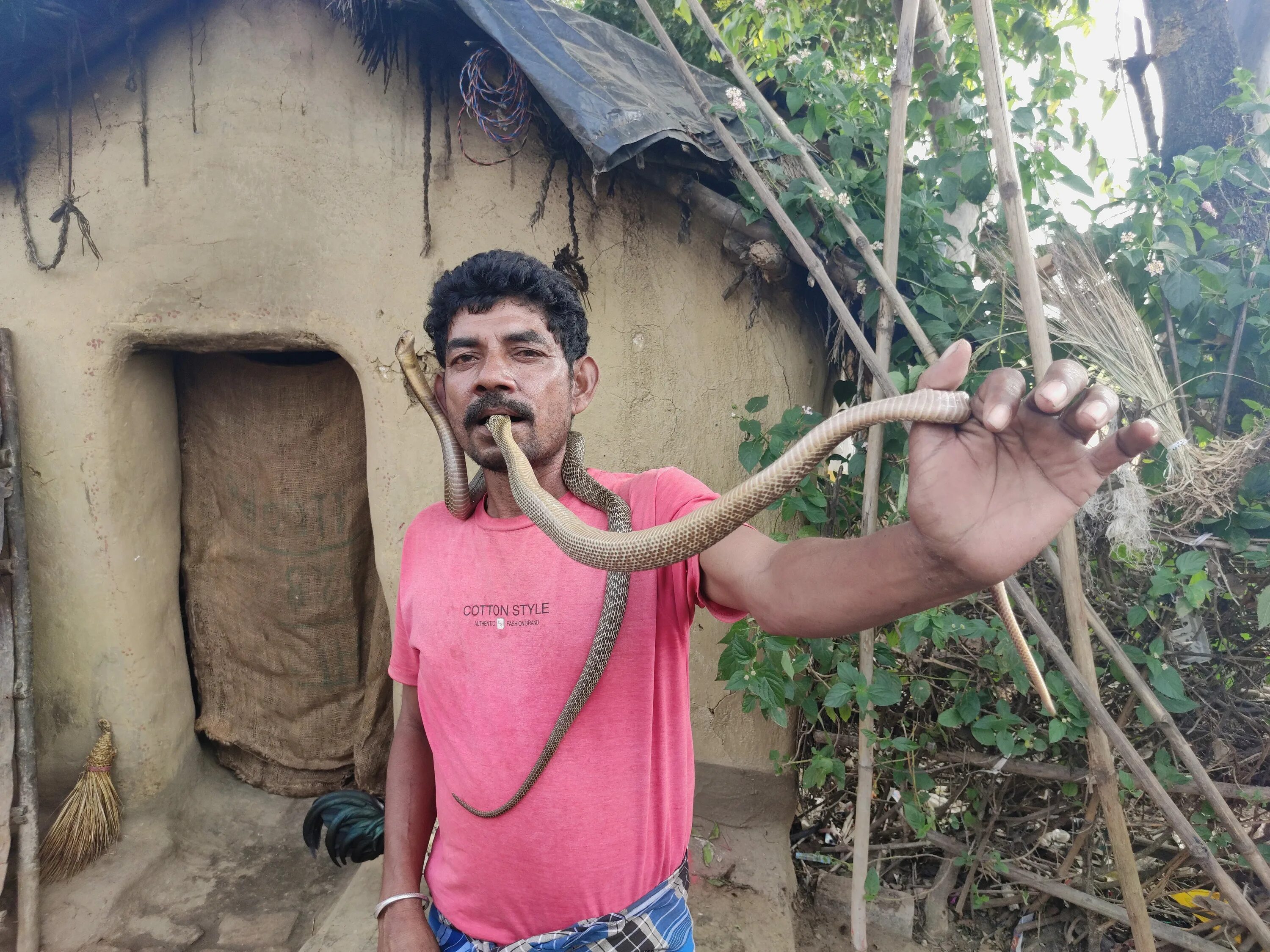 New Delhi Snake Charmer Snake charmer, Crazy cats, Snake