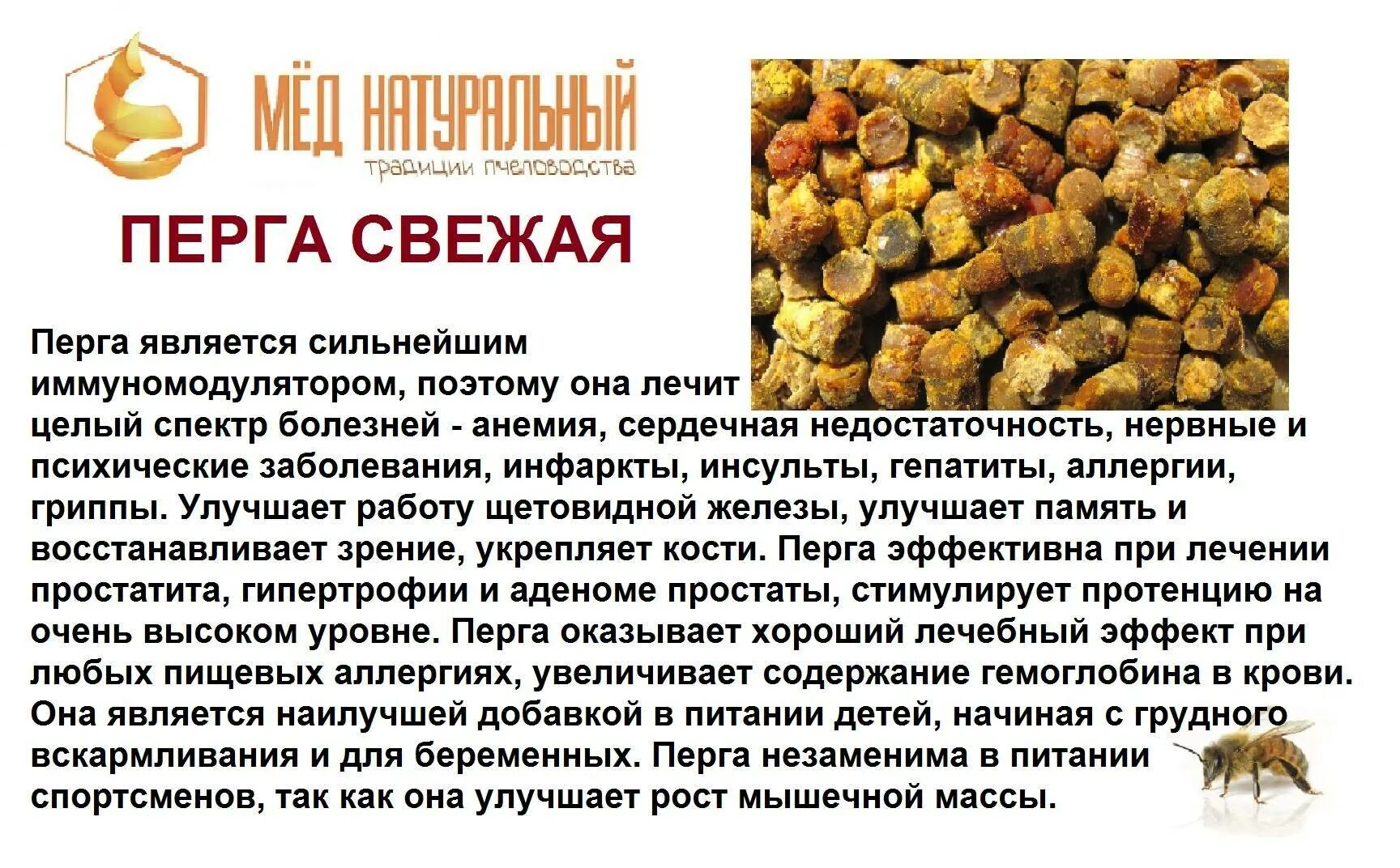 Перга пчелиная для человека. Перга продукты пчеловодства. Этикетка перга пчелиная. Перга полезные качества.