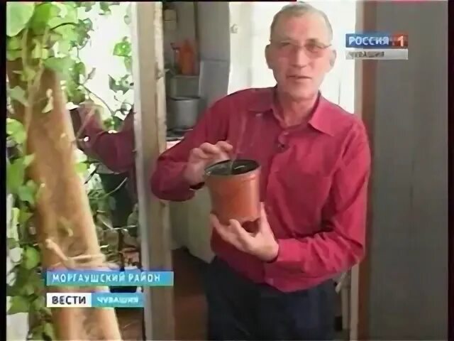 Ванюшкин сад