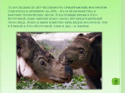 Какой вид животных удалось спасти благодаря разведению