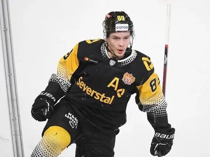 Kot severstal