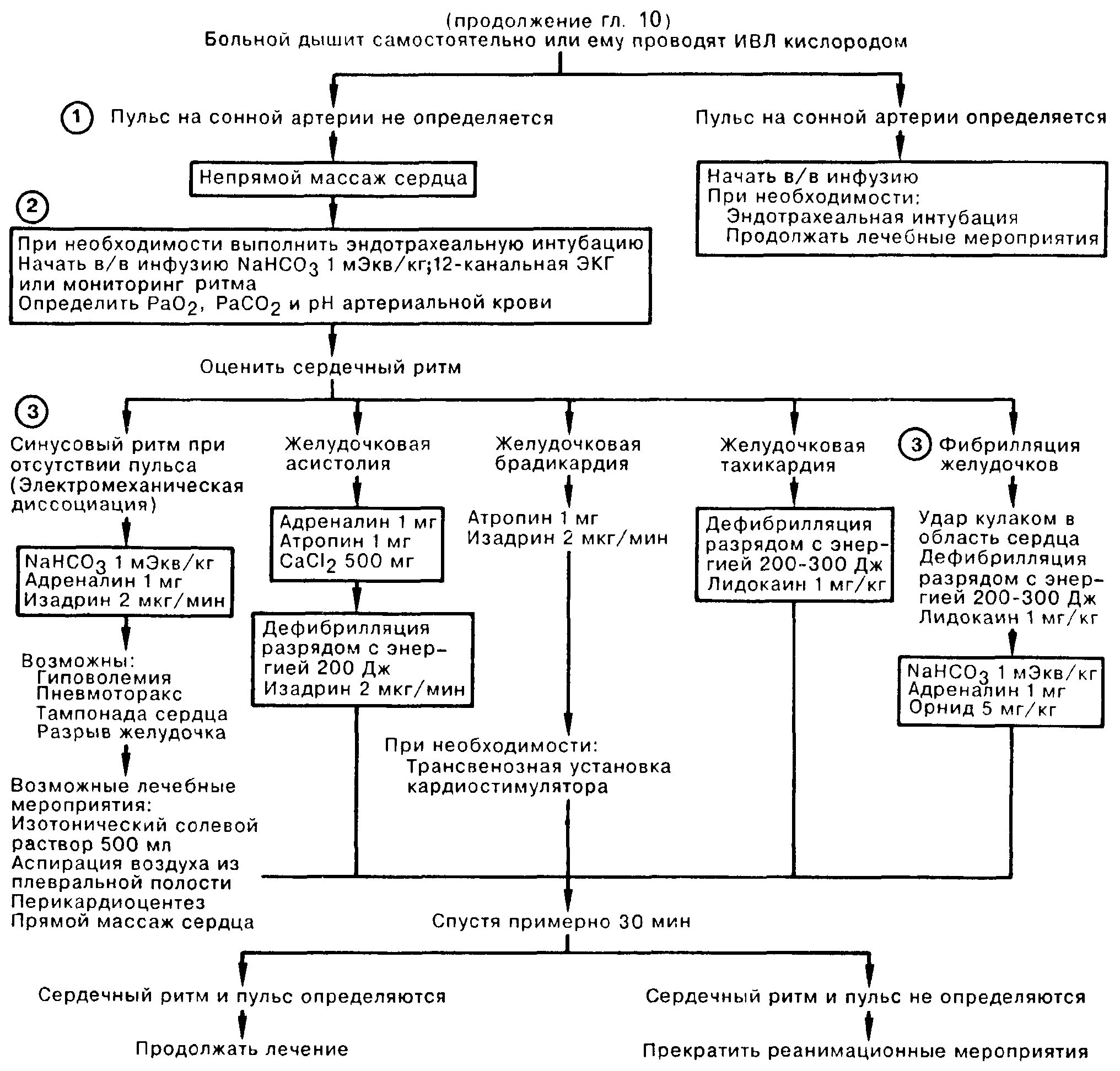 Помощь при брадикардии
