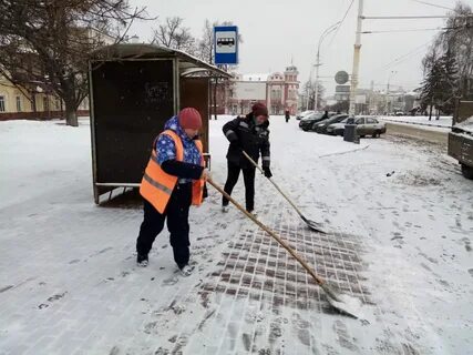Дорожник тамбов