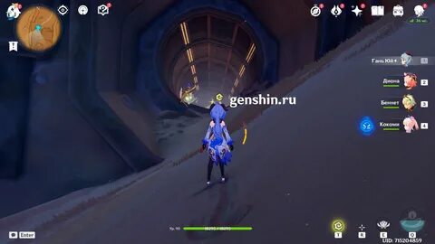 Хадж нисут геншин