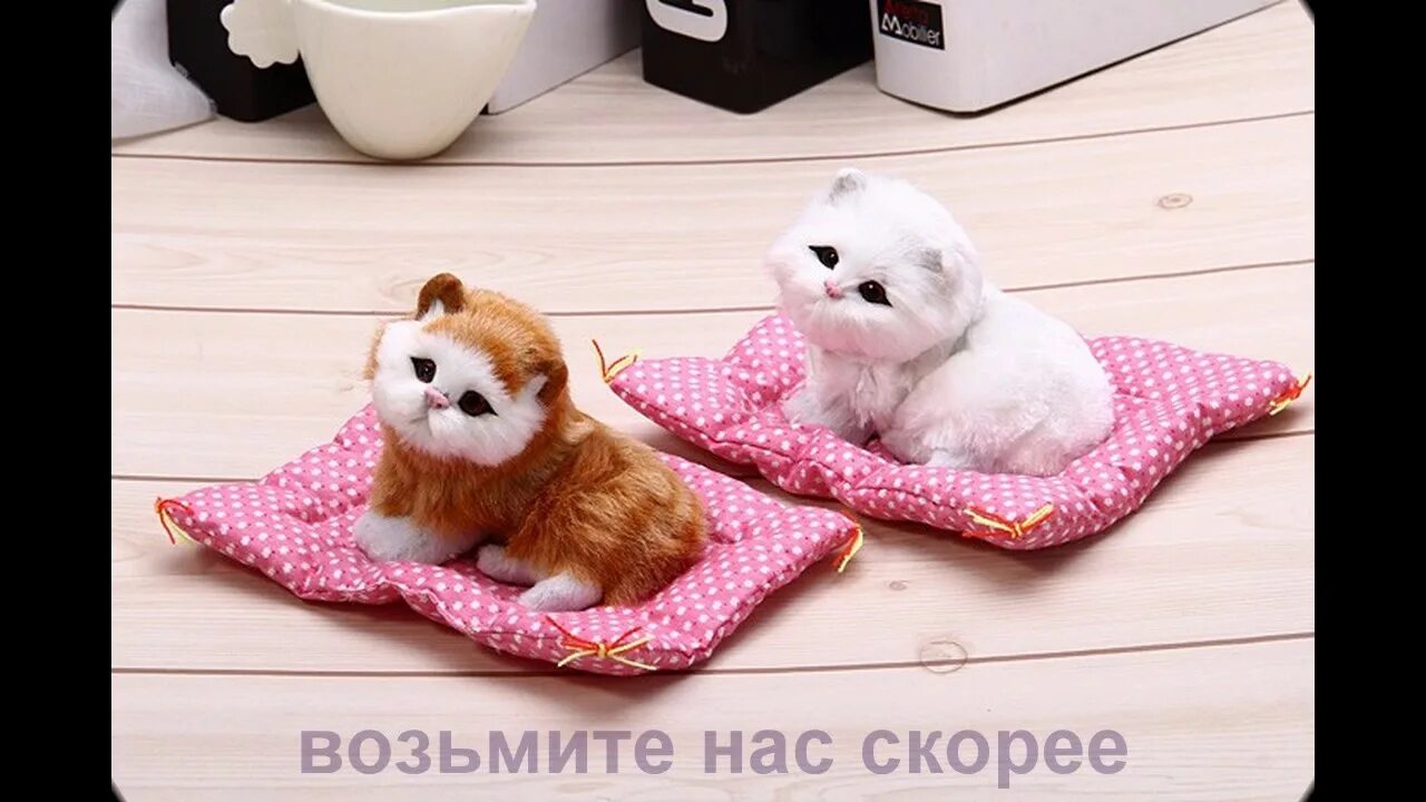 Игрушка котик минисо. Спящий котенок игрушка. Мягкая игрушка Cat nap. Кот из минисо. Cat nap игрушка купить