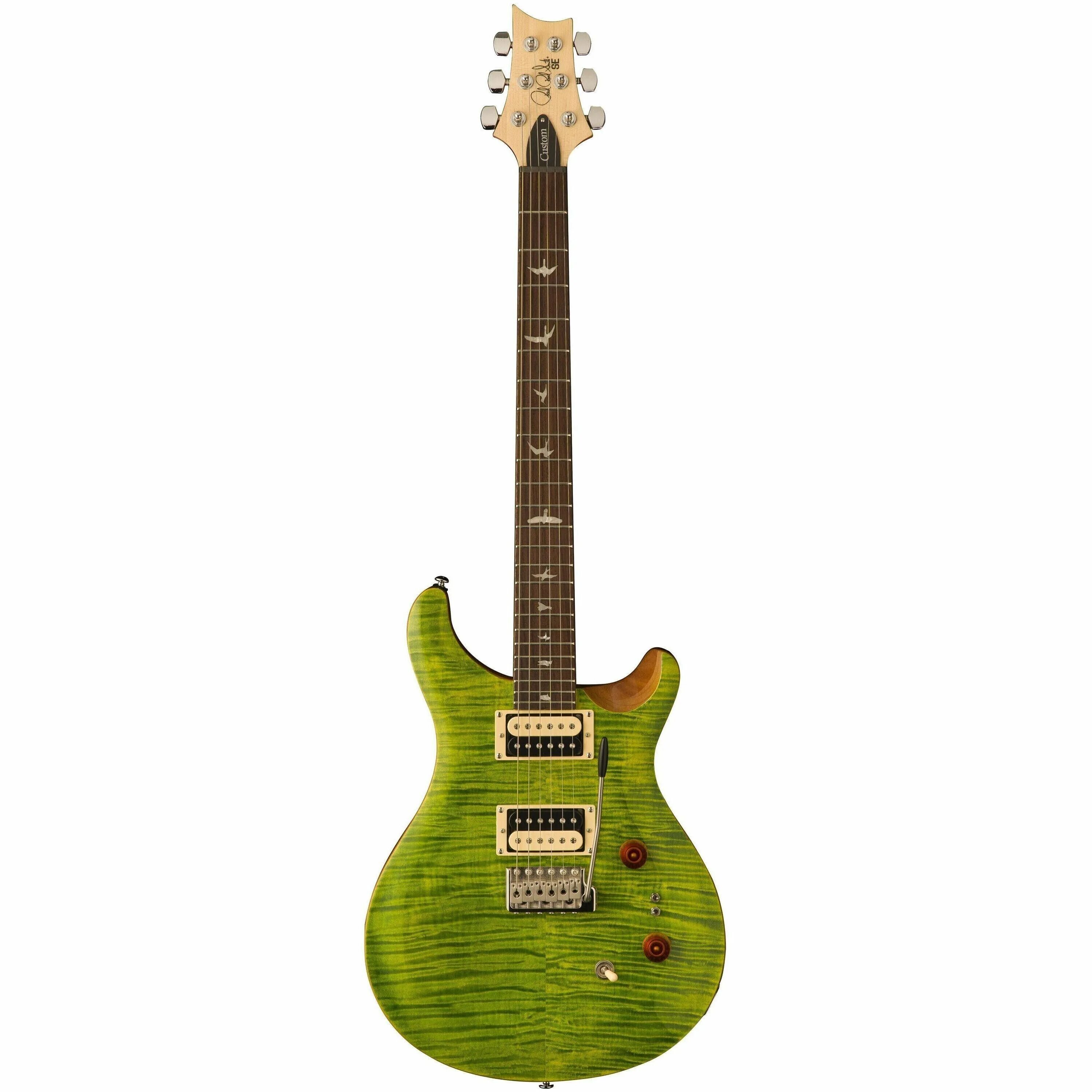 Prs rs. Prs se custom 24. гитара prs custom. электрогитары prs custom. гитара прс се.