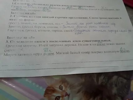 Упала под лавку падеж