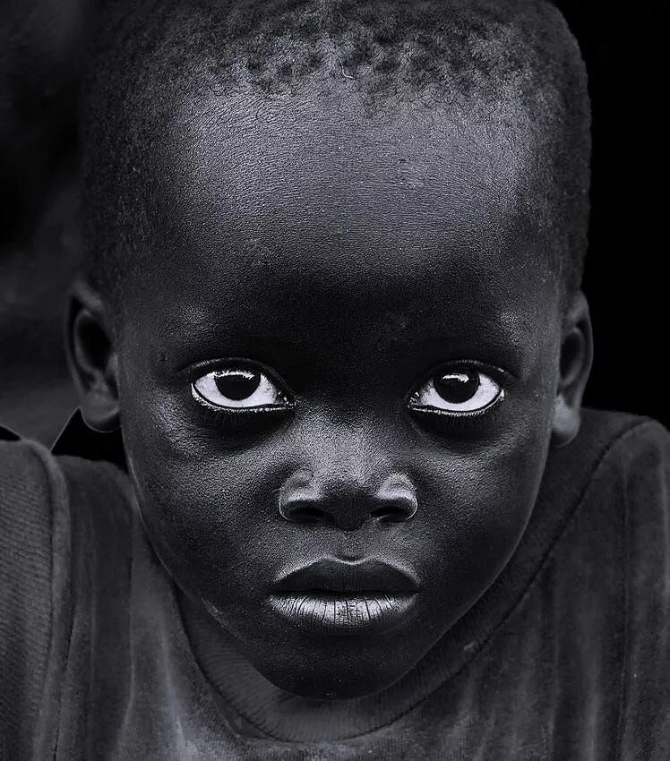 Пума меланист. Черный котяра. Тимур негр мем. Красивые черные коты. Pantera пума.