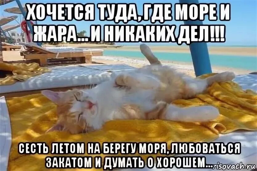 Скорей туда где. Хочу на море. Хочется на море. Так хочется на море. Как хочется лето.