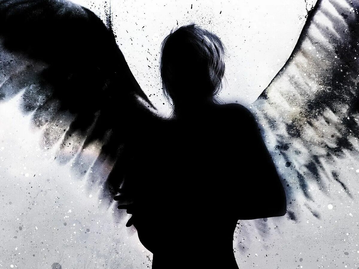 by Fondos Wings wallpaper, Angel wings art, Angel wallpaper