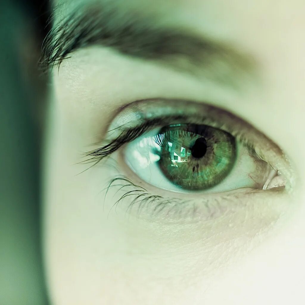 He got green eyes. Зелёные глаза. Изумрудно зеленые глаза. Красивые глаза. Зелёные глаза Эстетика.