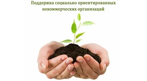 Социально ориентированные некоммерческие организации как попасть