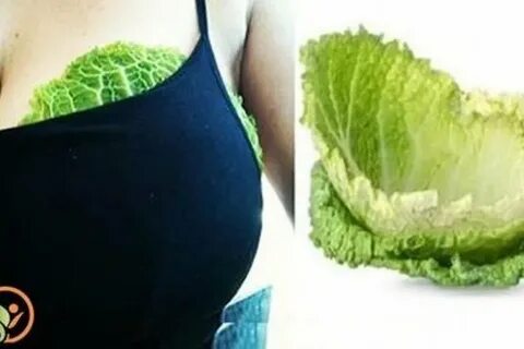 Капустный лист при мастопатии молочных