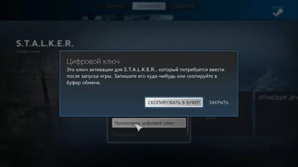 Можно активировать ключ в стиме в россии. Цифровой ключ стим. Цифровой ключ в стиме. Игра с ключами. Цифровые коды активации стим это.