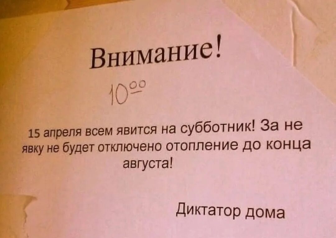 На явку не явилась. Объявление о субботнике прикольное. Смешные объявления о субботнике. Веселое объявление о субботнике. Субботник объявление прикол.