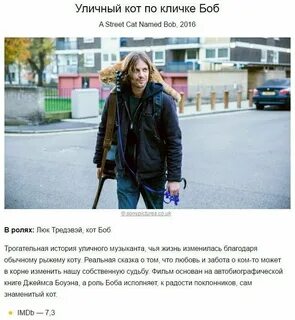 Трогательные истории
