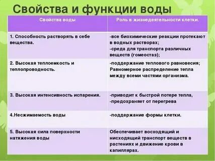 Функции белков с примерами таблица 9 класс - TouristMaps.ru