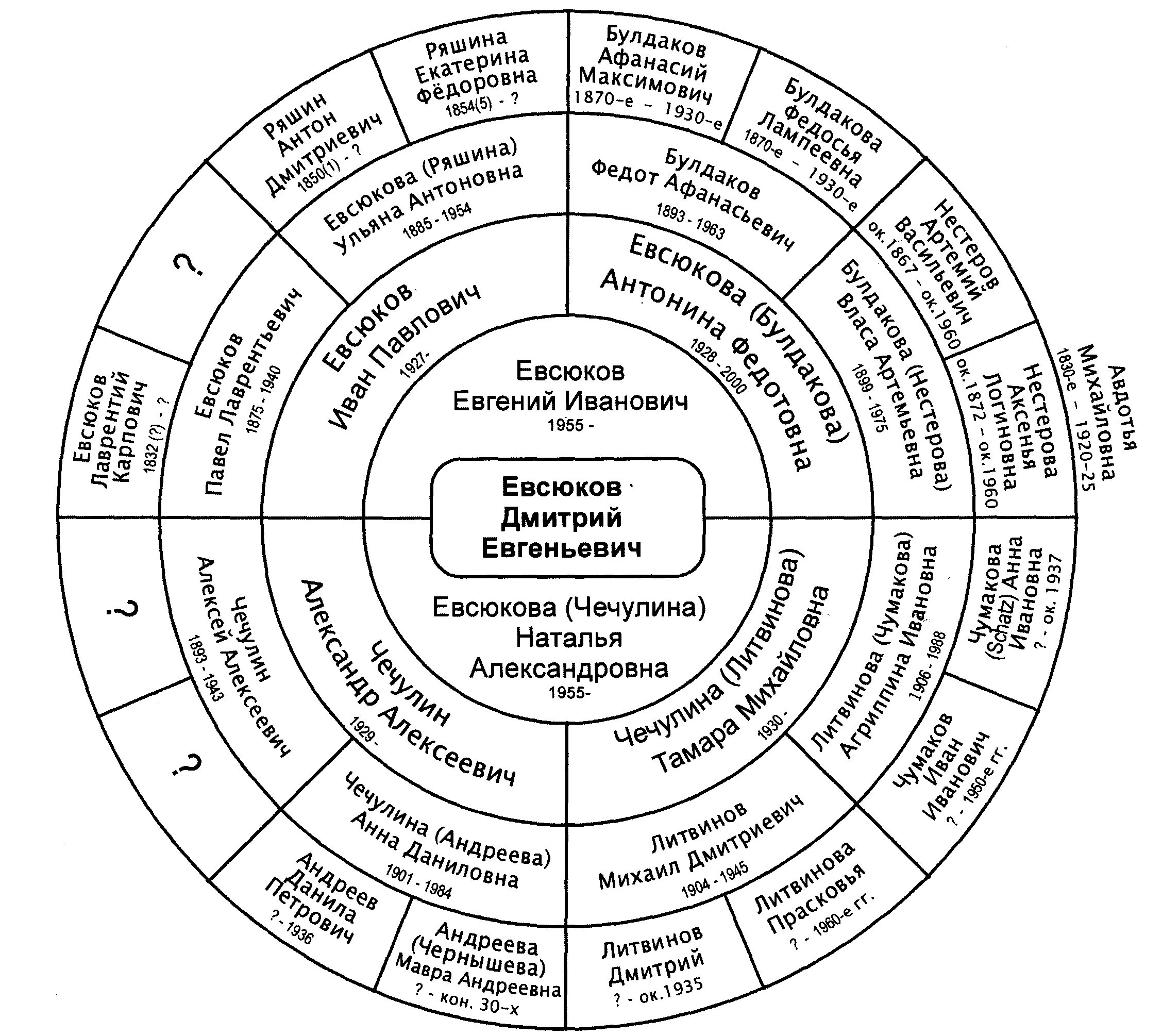Схема рода человека. Круговая родословная таблица. Круговая таблица генеалогического древа. Круговая схема родословной. Генеалогическая схема рода.