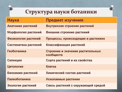 Морфология анатомия физиология систематика география экология палеоботаника