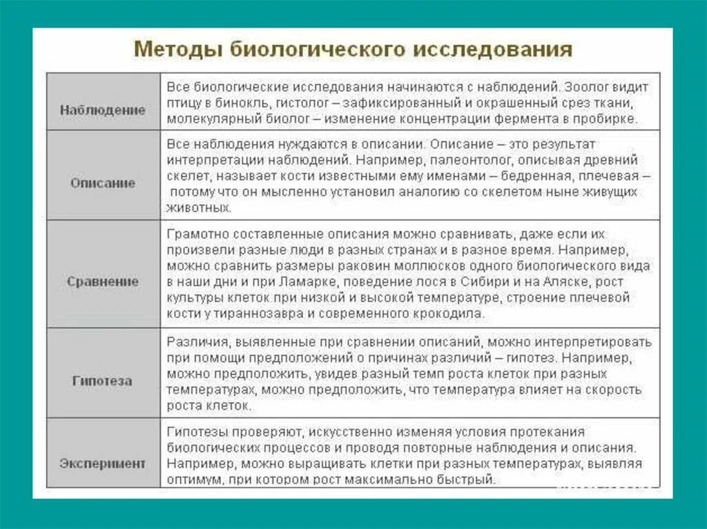 Что открывает мир наблюдательному человеку огэ