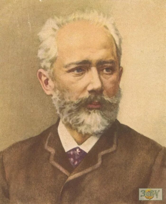 Чайковский. Чайковский, пётр Ильич. Пётр Ильич Чайковский (1840-1893). Петров Ильич Чайковский. Чайковский пётр Ильич портрет.