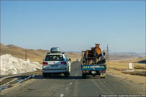 Какие дороги в монголии
