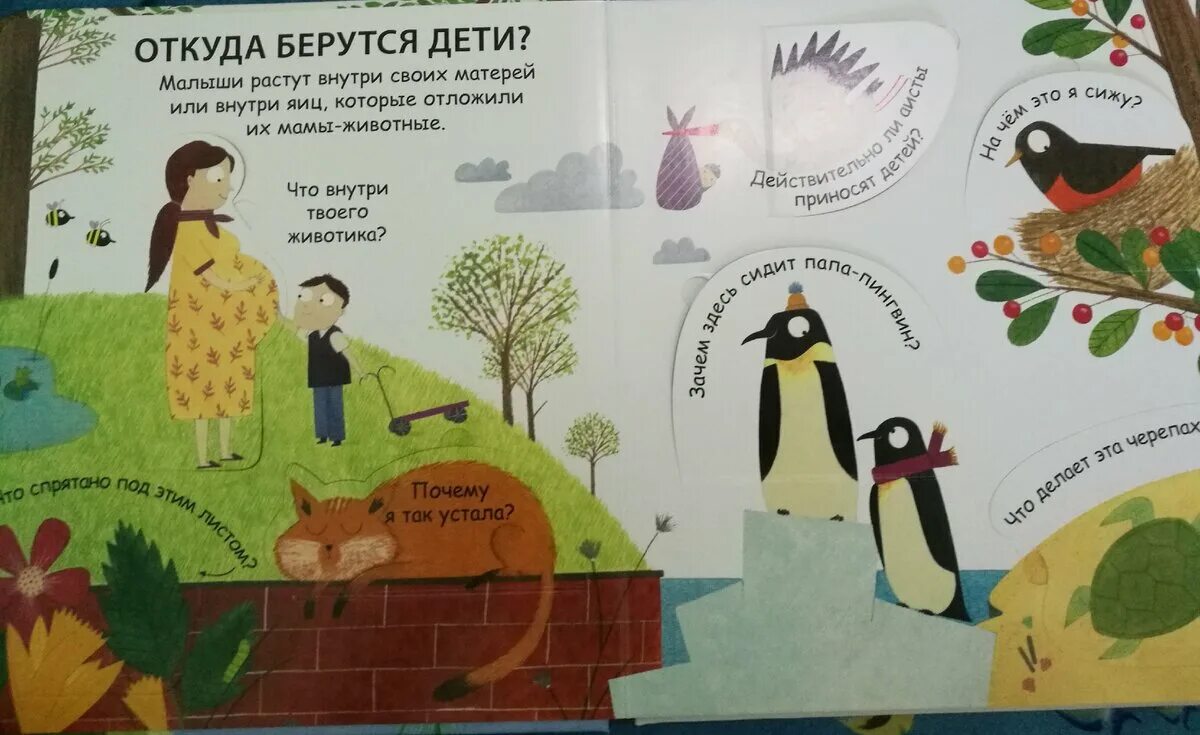 Откуда берутся дети. Откуда откуда берутся дети. Ӑ̈т̆̈к̆̈ў̈д̆̈ӑ̈ б̆̈ӗ̈р̆̈ў̈т̆̈с̆̈я̆̈ д̆̈ӗ̈т̆̈й̈. Книжка откуда берутся дети с картинками