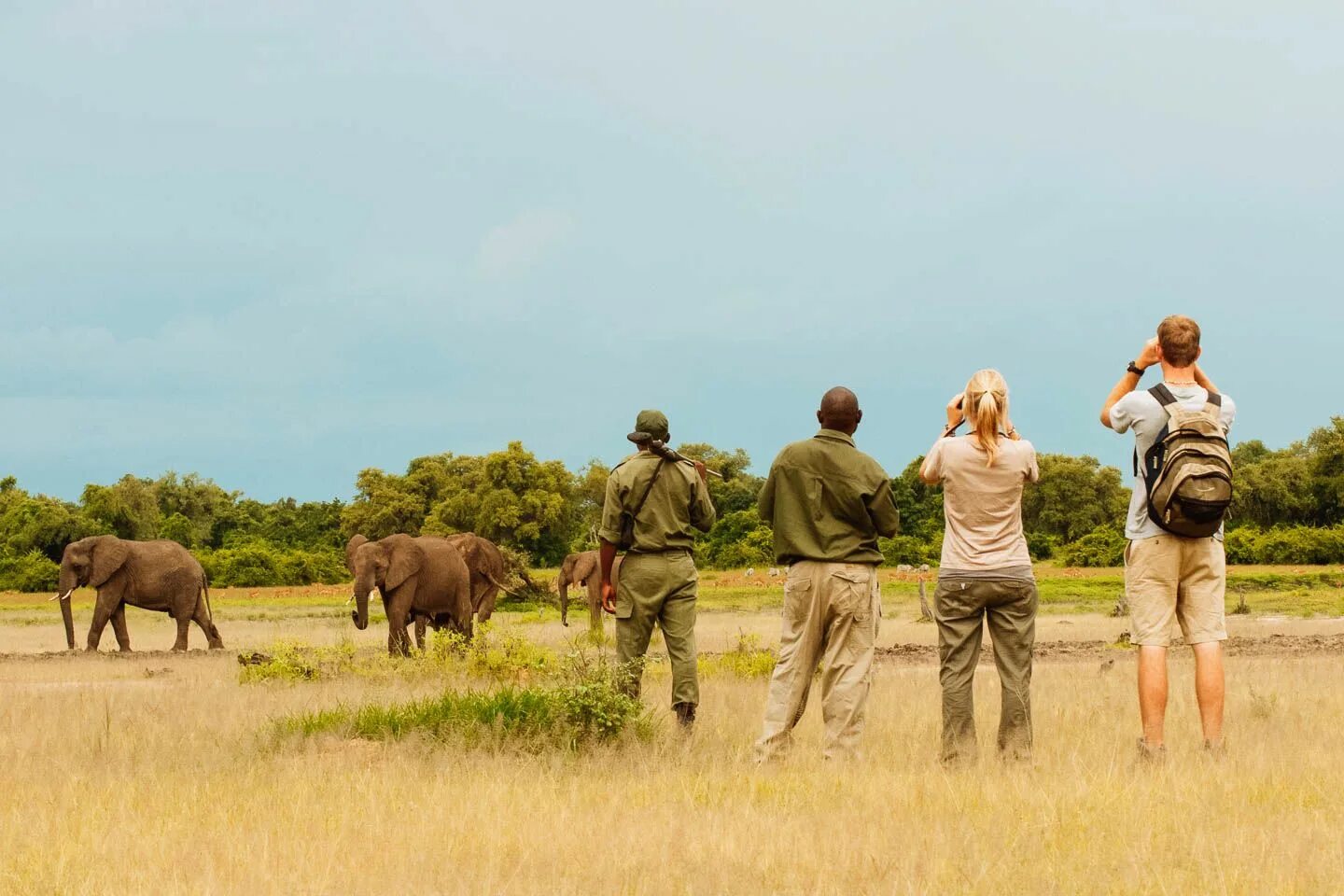 Самая большая площадь в африке занимает. Танзания сафари. Национальный парк сафари ЮАР. ЮАР сафари тур. Кения сафари.