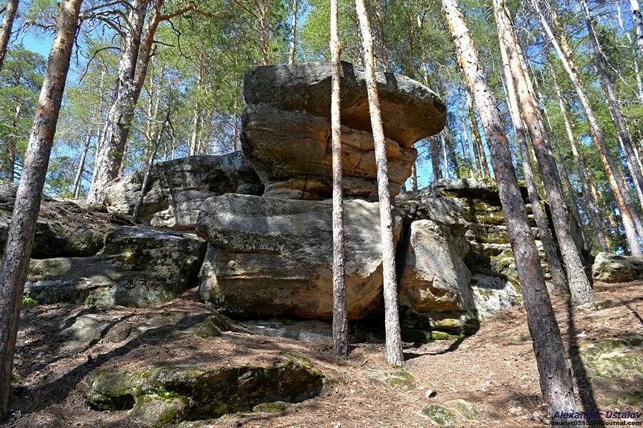 Пос передовой. Поселок передовой Сызранский район. Поселок передовой Изобильненский район. Передовой (Ставропольский край). Посёлок передовой Краснодарский край.